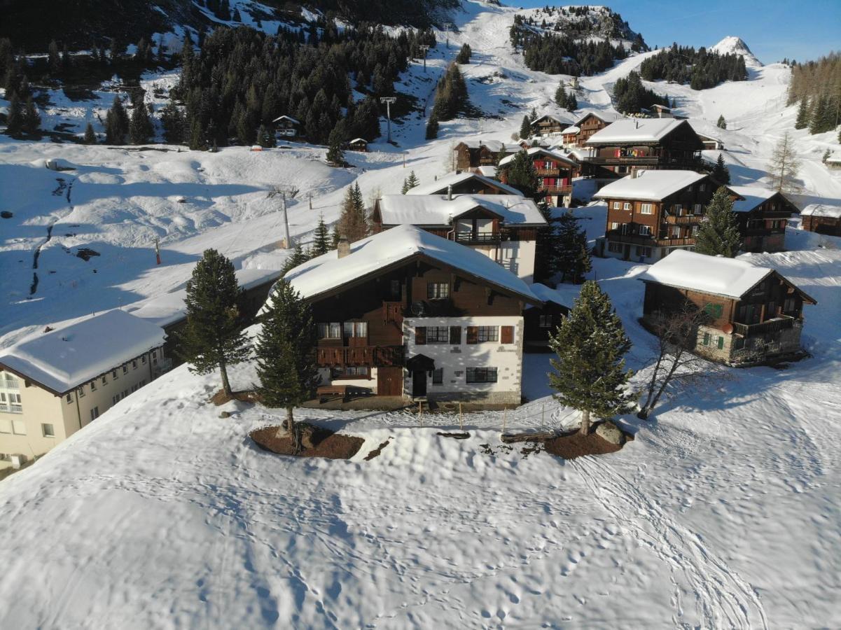 Schoenegg Hochparterre Riederalp Zewnętrze zdjęcie