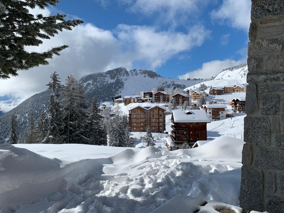 Schoenegg Hochparterre Riederalp Zewnętrze zdjęcie