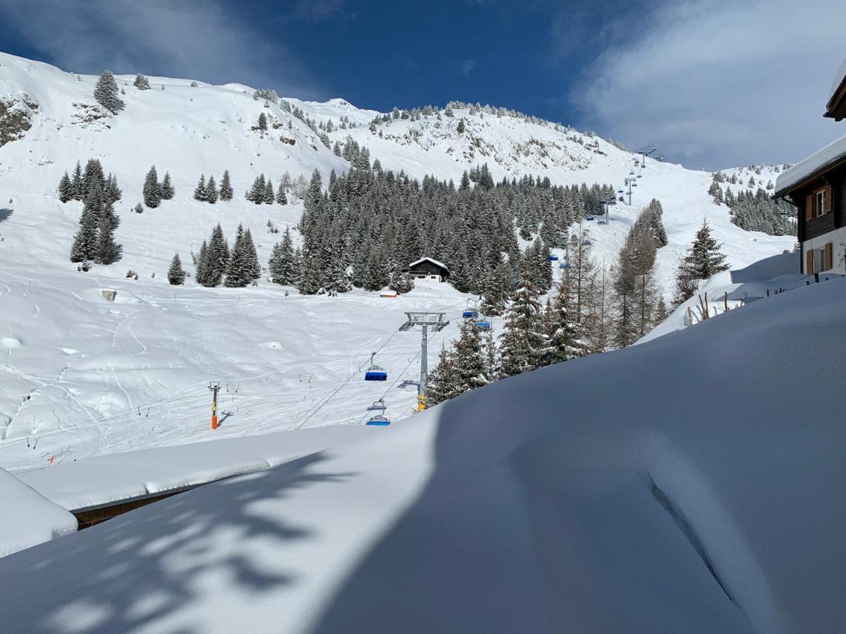 Schoenegg Hochparterre Riederalp Zewnętrze zdjęcie