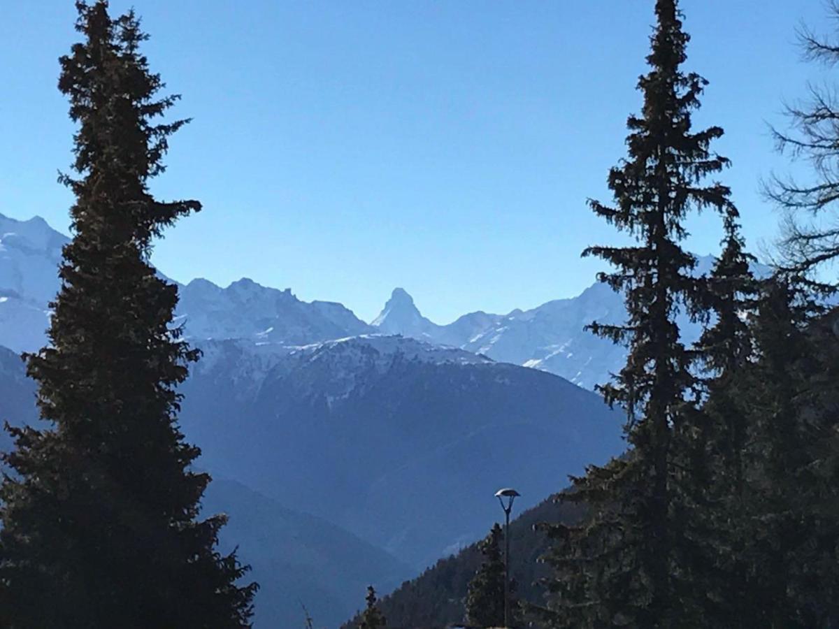 Schoenegg Hochparterre Riederalp Zewnętrze zdjęcie