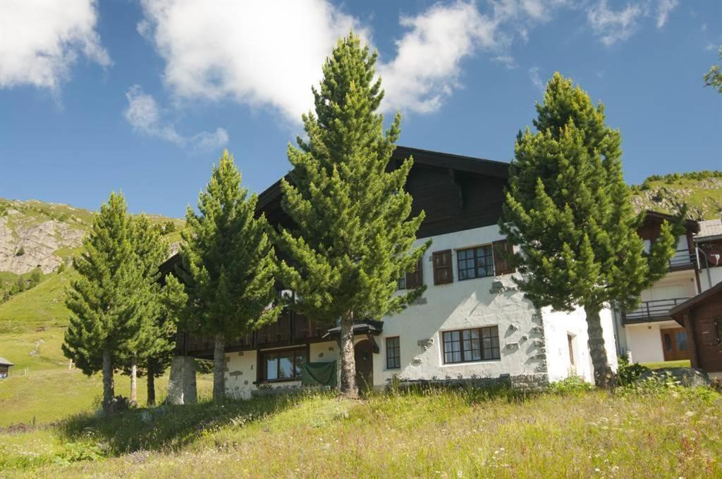 Schoenegg Hochparterre Riederalp Zewnętrze zdjęcie
