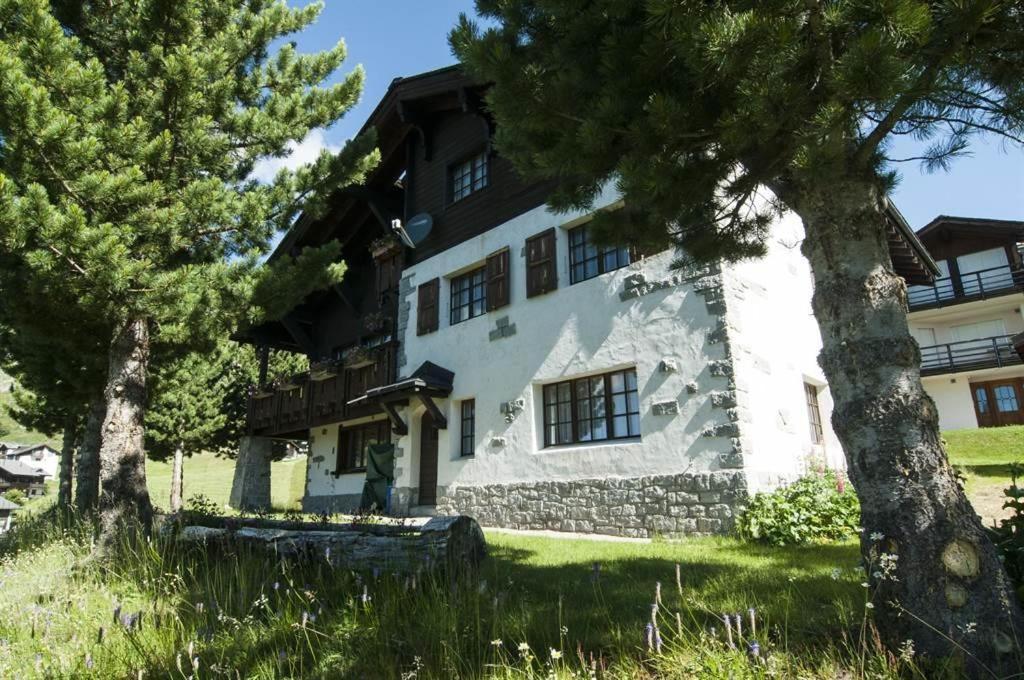 Schoenegg Hochparterre Riederalp Zewnętrze zdjęcie