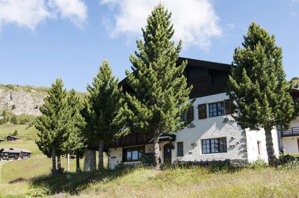 Schoenegg Hochparterre Riederalp Zewnętrze zdjęcie